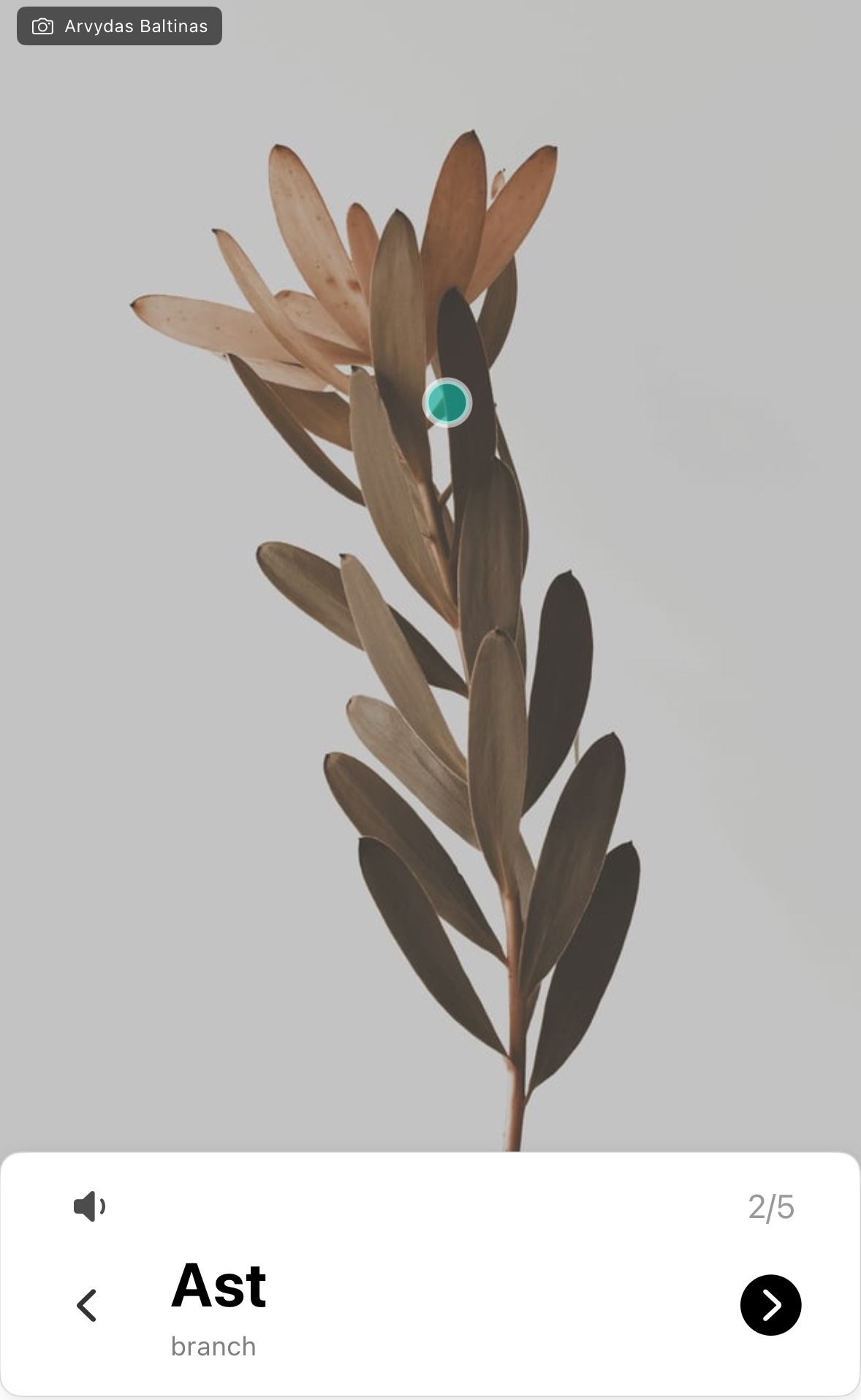 feature-visual-image
